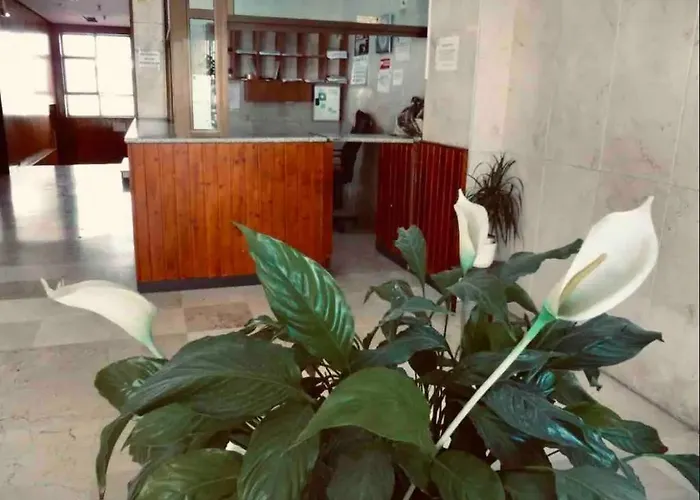 La Posada Del Viajero * Torremolinos